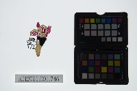 藏品(皮影戲偶頭-丑)的圖片