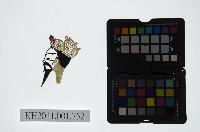 藏品(皮影戲偶頭-末)的圖片