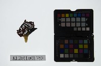 藏品(皮影戲偶頭-雜)的圖片