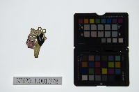 藏品(皮影戲偶頭-淨)的圖片