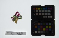 藏品(皮影戲偶頭-雜)的圖片