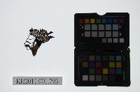 藏品(皮影戲偶頭-末)的圖片