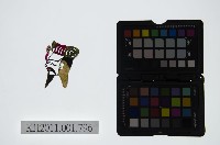 藏品(皮影戲偶頭-雜)的圖片