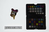 藏品(皮影戲偶頭-淨)的圖片