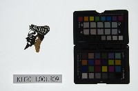 藏品(皮影戲偶頭-淨)的圖片