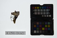 藏品(皮影戲偶頭-生)的圖片