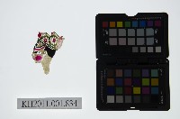 藏品(皮影戲偶頭-生)的圖片