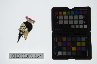 藏品(皮影戲偶頭 末)的圖片