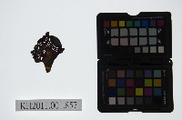 藏品(皮影戲偶頭-雜)的圖片