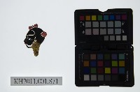 藏品(皮影戲偶頭-雜)的圖片