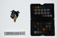 藏品(皮影戲偶頭-雜)的圖片