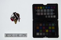 藏品(皮影戲偶頭-雜)的圖片