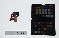 藏品(皮影戲偶頭-淨)的圖片