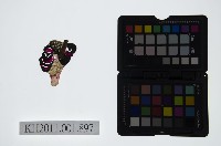 藏品(皮影戲偶頭-淨)的圖片