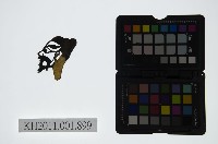 藏品(皮影戲偶頭-生)的圖片