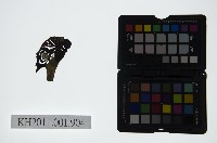 藏品(皮影戲偶頭-淨)的圖片