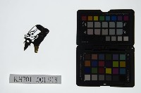 藏品(皮影戲偶頭-淨)的圖片