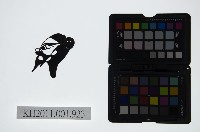 藏品(皮影戲偶頭-淨)的圖片