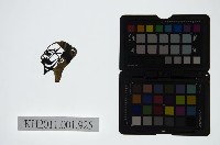 藏品(皮影戲偶頭-淨)的圖片