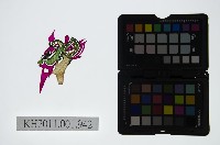 藏品(皮影戲偶頭-淨)的圖片