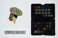 藏品(皮影戲偶頭-淨)的圖片