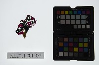 藏品(皮影戲偶頭-淨)的圖片