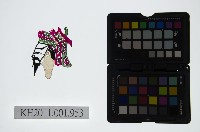 藏品(皮影戲偶頭-末)的圖片