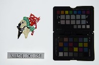 藏品(皮影戲偶頭-淨)的圖片