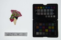 藏品(皮影戲偶頭-淨)的圖片