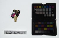 藏品(皮影戲偶頭-淨)的圖片