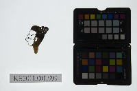 藏品(皮影戲偶頭-生)的圖片