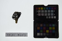 藏品(皮影戲偶頭-淨)的圖片