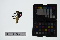 藏品(皮影戲偶頭-生)的圖片