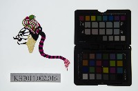 藏品(皮影戲偶頭-丑)的圖片