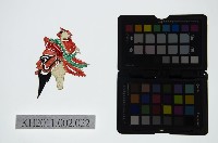 藏品(皮影戲偶頭-淨)的圖片