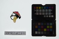 藏品(皮影戲偶頭-雜)的圖片