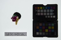 藏品(皮影戲偶頭-雜)的圖片