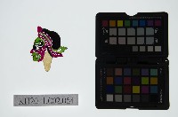 藏品(皮影戲偶頭-雜)的圖片