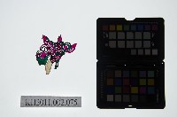 藏品(皮影戲偶頭-雜)的圖片