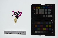 藏品(皮影戲偶頭-生)的圖片