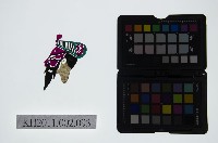 藏品(皮影戲偶頭-淨)的圖片