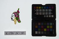 藏品(皮影戲偶頭-生)的圖片