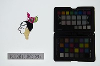 藏品(皮影戲偶頭-雜)的圖片