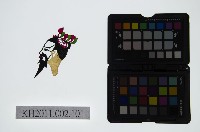 藏品(皮影戲偶頭-末)的圖片