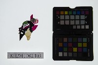 藏品(皮影戲偶頭-雜)的圖片