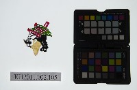 藏品(皮影戲偶頭-丑)的圖片