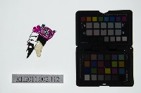 藏品(皮影戲偶頭-末)的圖片