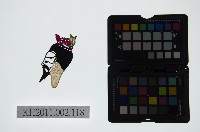 藏品(皮影戲偶頭-末)的圖片