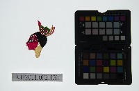 藏品(皮影戲偶頭-雜)的圖片