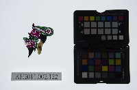 藏品(皮影戲偶頭-雜)的圖片